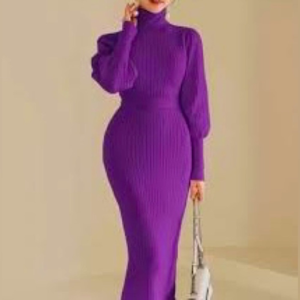 SHEIN Elegant Purple Turtleneck Dress (NWOT)